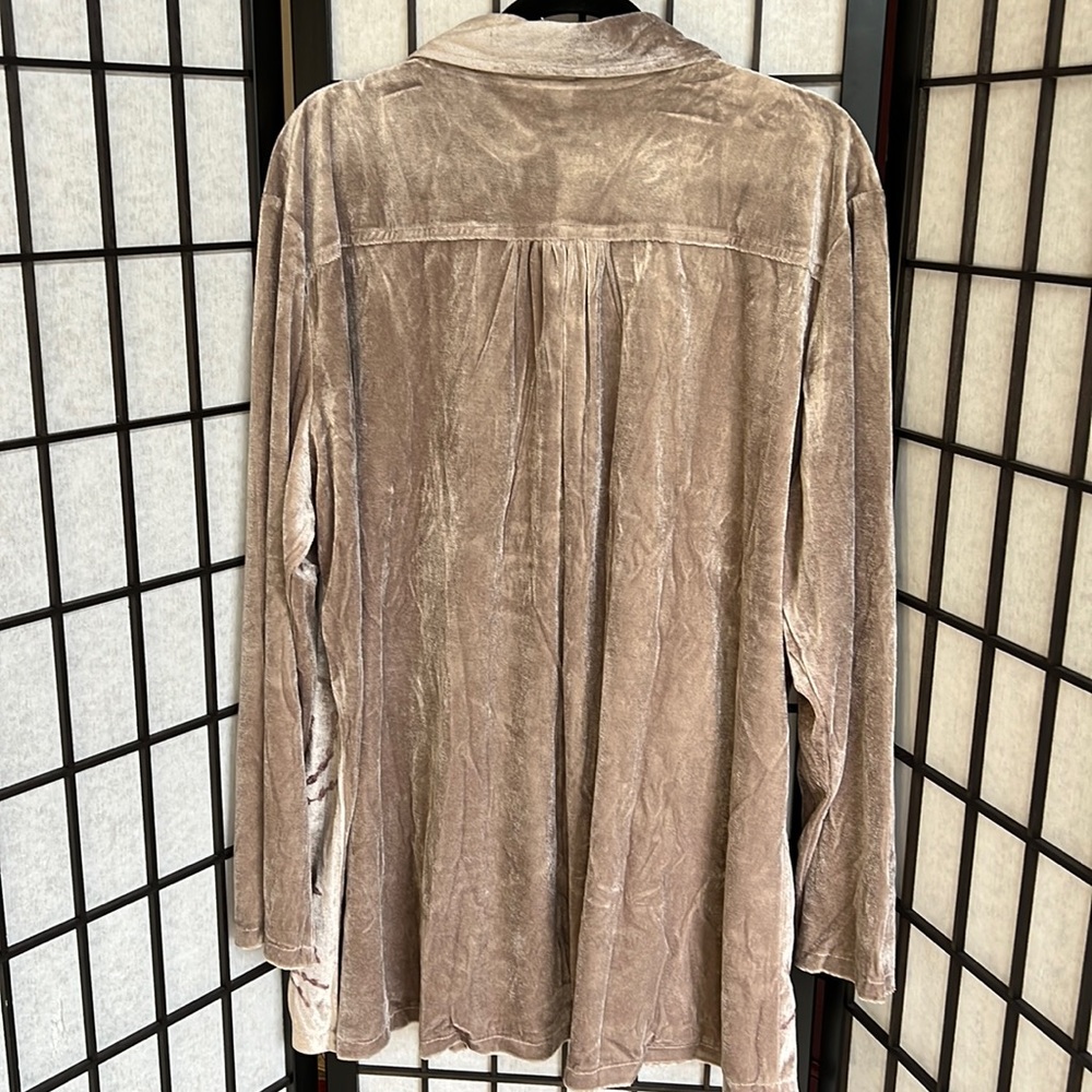 NWOT Parsley & Sage Velvet Top Floral Embroidered Boho Button Down Taupe - Picture 6 of 6